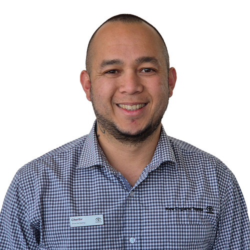 Cherby Mangulabnan